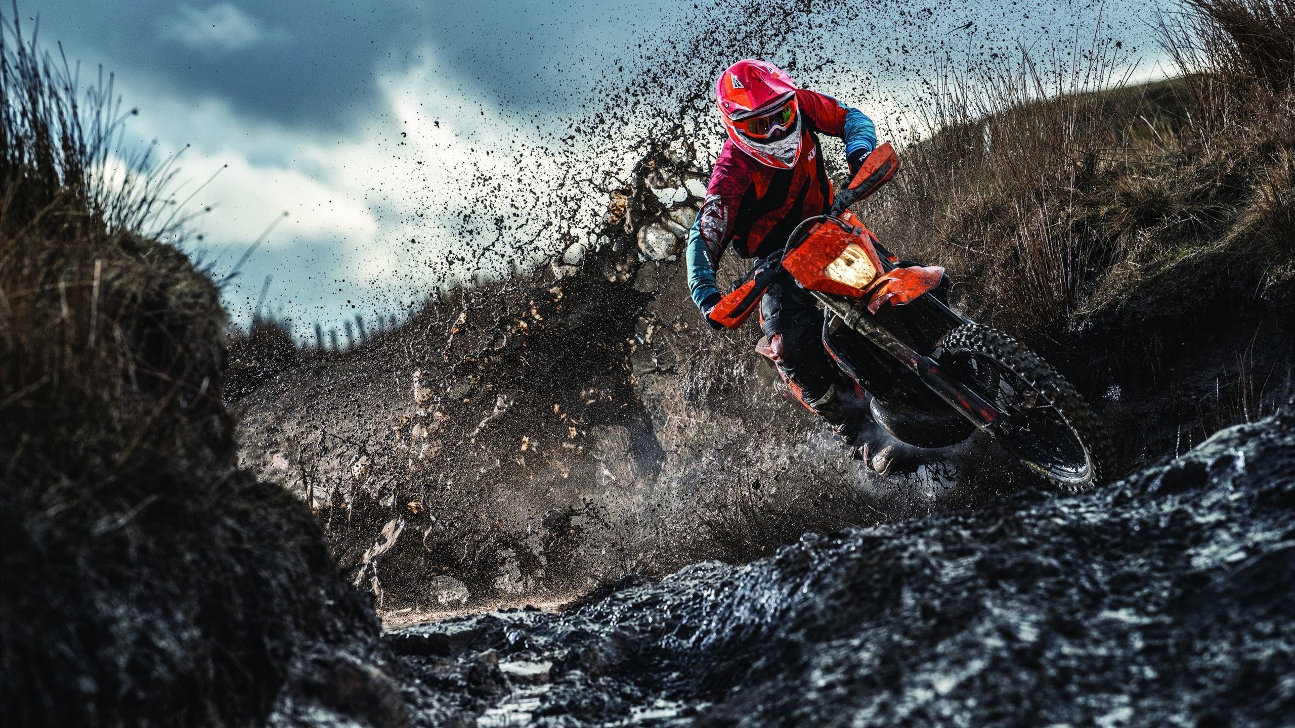 澳大利亚队的未来挑战：如何与世界乒乓强队拉近差距，澳大利亚乒乓球队